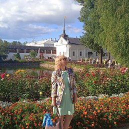 ��������, ���������, 53 ����