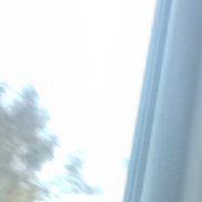 ������, 41 ���, �����-���������