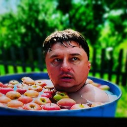 , 53, 