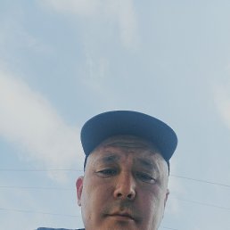 , 43, 