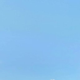 �������, ����, 42 ����