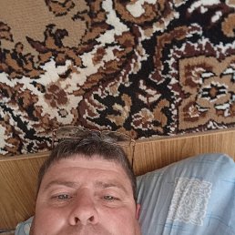  , 46, 