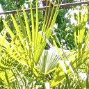 ���� ������� .).).), ����������� - ��������� 11 ��� 2025 � ������ ���� ����������