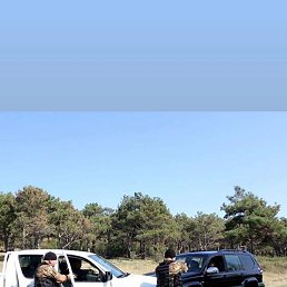 Zura, �������, 35 ���