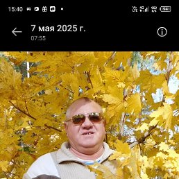 , 65 , 
