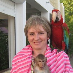 �����, �������, 50 ���