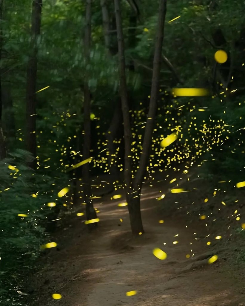  .   ,    ,   .  ... - 3