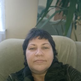 , 53, 