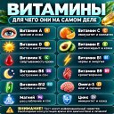 ���� Sss, �����, 61 ��� - ��������� 20 ������� 2026