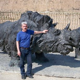 ������, 54 ����, ���