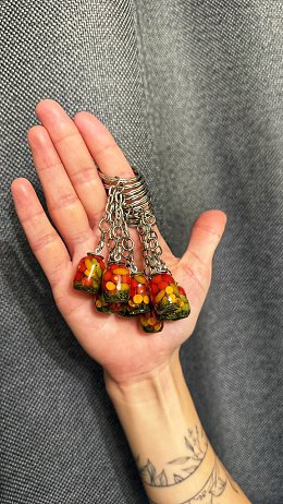 �����������