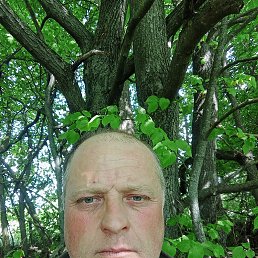 , 49, 