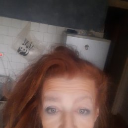 , 44, 