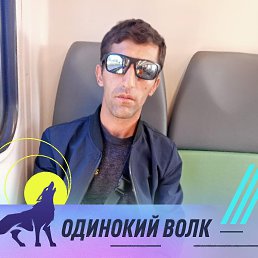 , 34, 