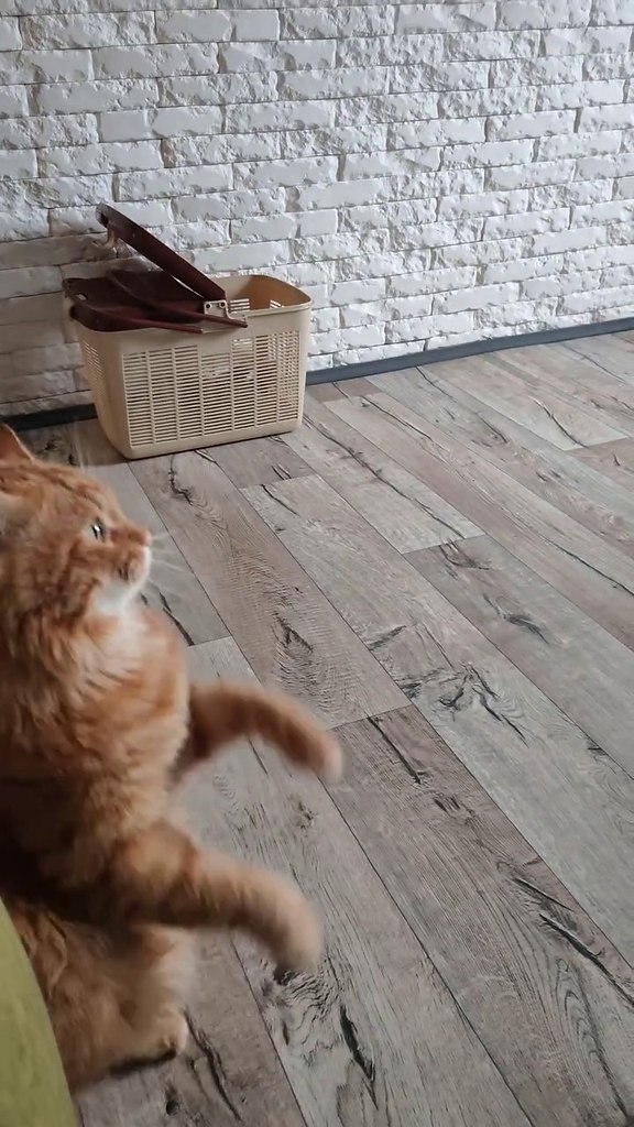     ,     !)