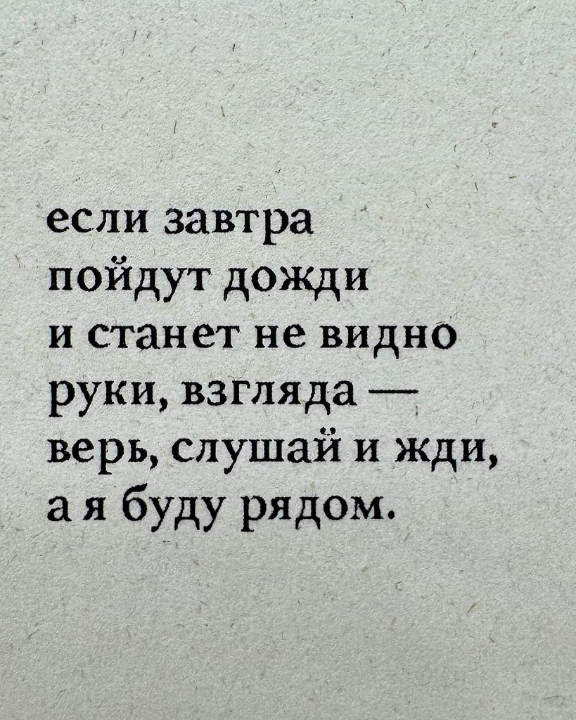 Кулинарное искусство - 10 октября 2025 в 15:44 - 3