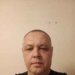 ���� ����, �����, 41 ��� - ��������� 14 ������ 2026