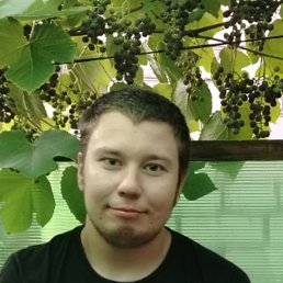 ���� ����, ������ ��������, 29 ��� - ��������� 5 ������ 2026