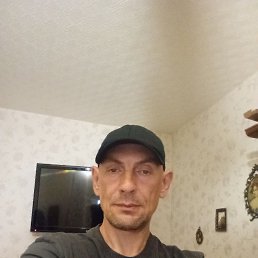  , 44, 