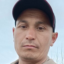 ����, ������, 41 ���