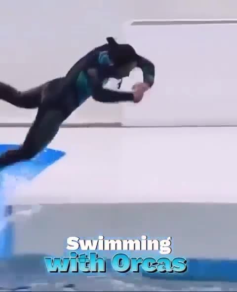 ��� ��� �������� ���� ���������