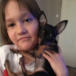 �������, ���������, 43 ����