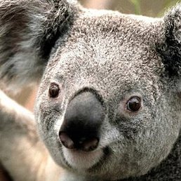 ����, ������, 28 ���