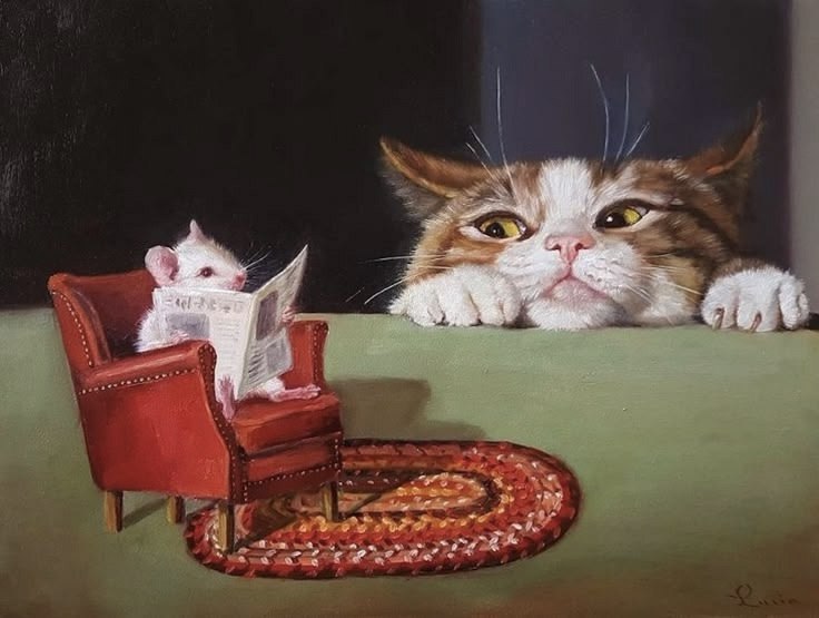     -o  , oo .