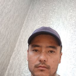 , 33, 