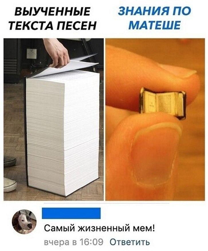 ? ,  ! - 25  2025  22:33