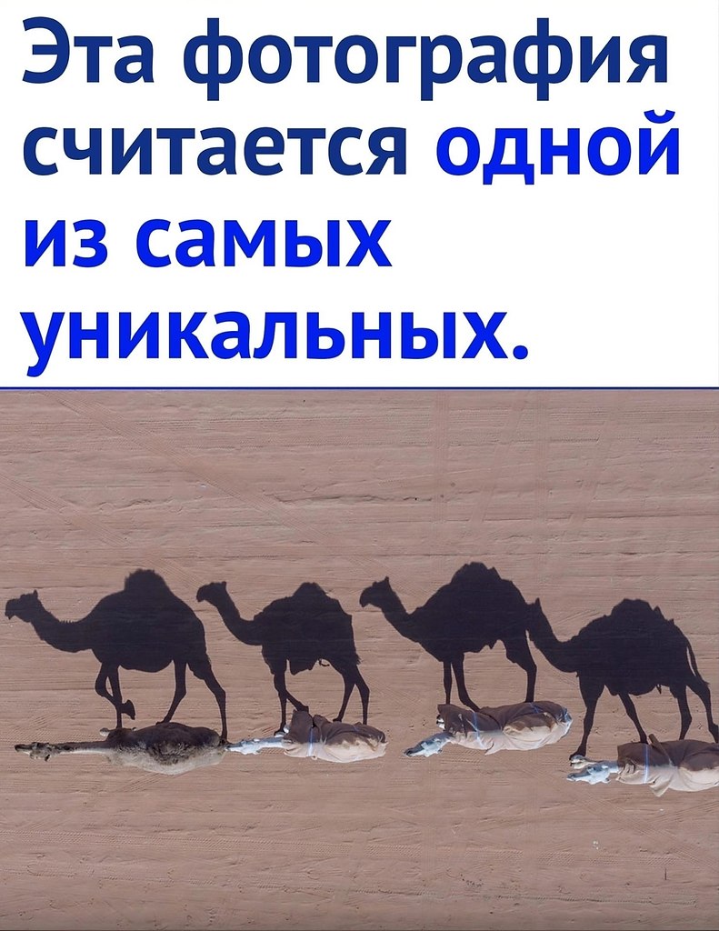 ��� �� ����� ����������� ���