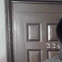 ������, �����������-��-�����, 38 ���