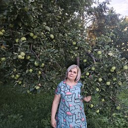 , 38, 