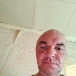 , 44, 