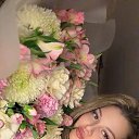 ���� ������, �������, 20 ��� - ��������� 27 ��� 2026 � ������ ���� ����������
