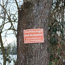 ���� Alias, ����, 55 ��� - ��������� 31 ������� 2024