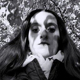 , 29, 