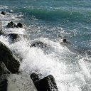 ���� ������, ������, 55 ��� - ��������� 11 ������ 2024 � ������ ���� ����������