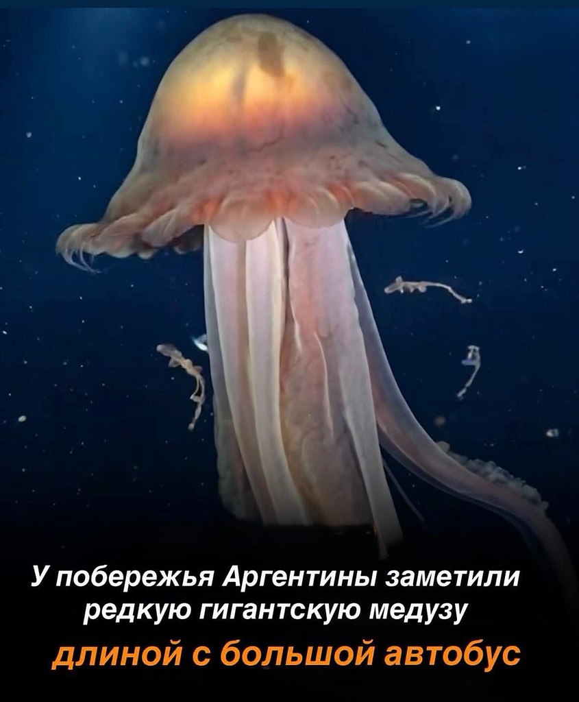 :) ������ ������, �������� ������ ��������� ��������, ������� ������ �� ����� ������������� ...