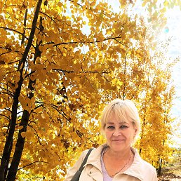 , 57, 