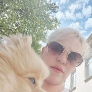 , 43 , 