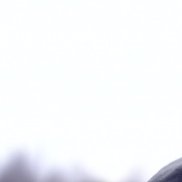 ������, 52 ����, ������