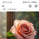 ���� �����, ������, 53 ���� - ��������� 27 ������ 2026