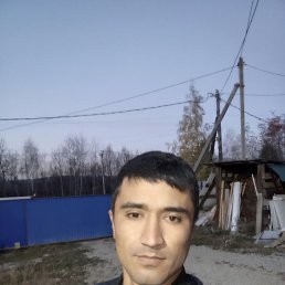 , 33, 
