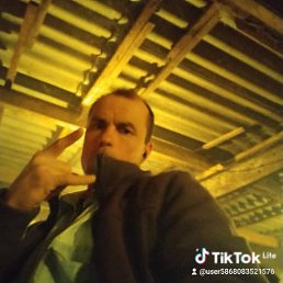 , 40, 