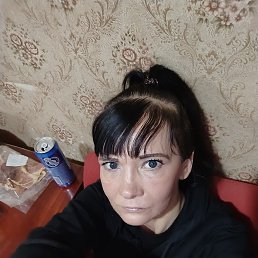 , 41, 