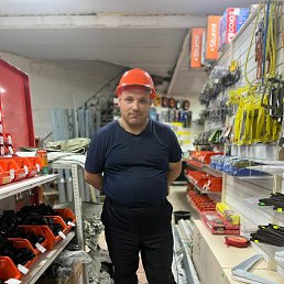 , 33 , 