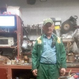 , 56, 