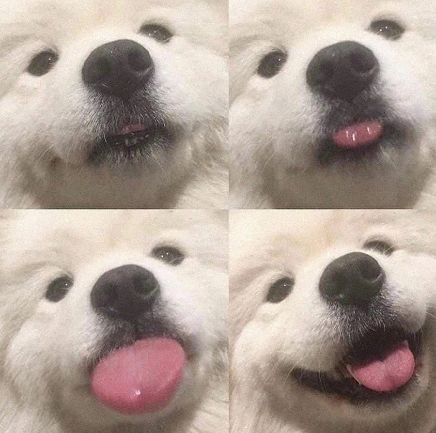    - ...