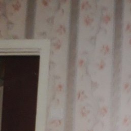 ��������, �����, 32 ����